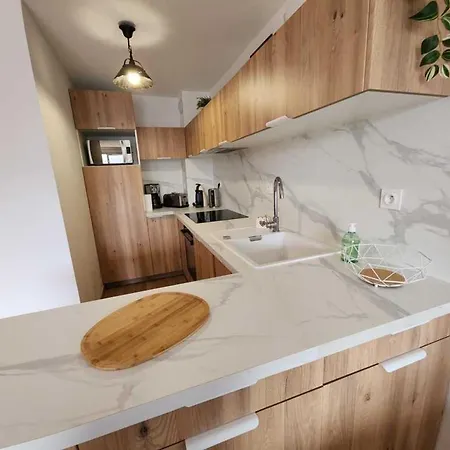Duplex Confortable Proche Commerces, Navette Ski, Animaux Admis - Fr-1-476-229